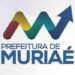 17 Muriae - MG