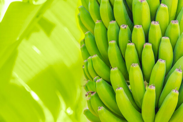 benefícios da banana verde