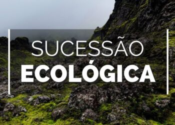 sucessão ecológica