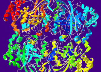 Catalase