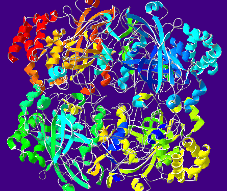 Catalase