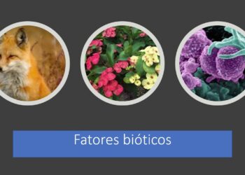 fatores bióticos