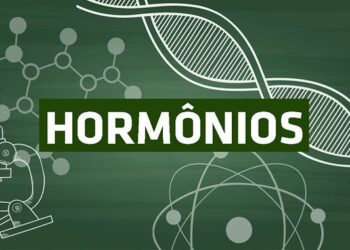 hormônios o que são