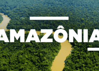 BIOMA AMAZÔNICO