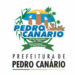 8 Prefeitura de Pedro Canario - ES