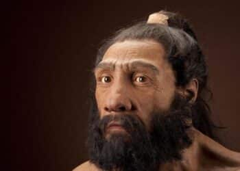 neandertal