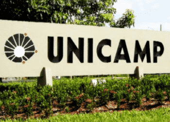 41 UNICAMP