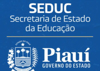 110 - Seduc - PI
