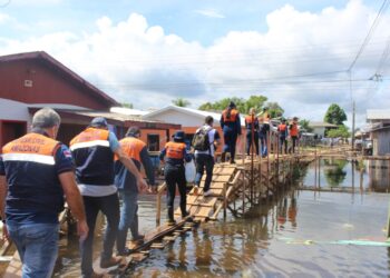 Reprodução: Governo do Amazonas