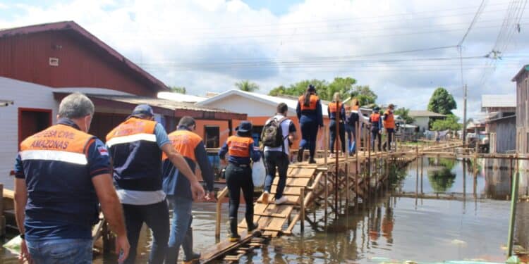 Reprodução: Governo do Amazonas