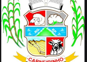 147 - Camara de Carneirinho - MG