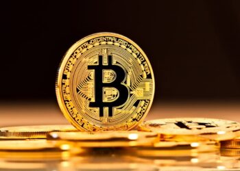 Se você deseja mesmo fazer com que os Bitcoins melhorem sua economia, deve investir em criptomoedas