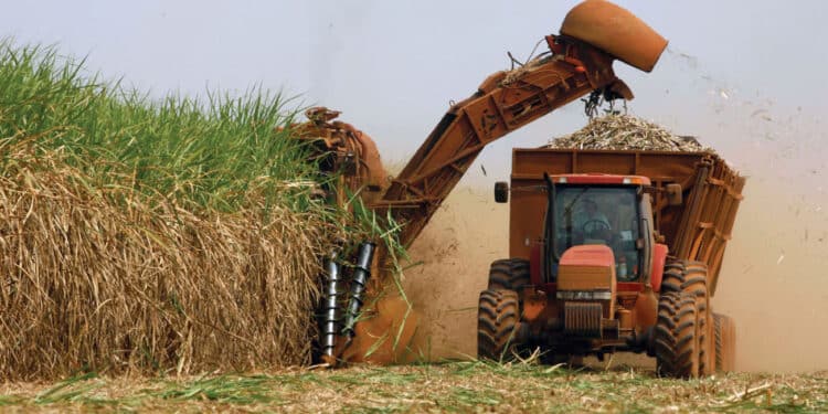 Mecanização do campo