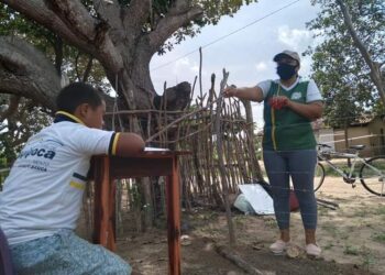 professora crianças com deficiência ceará