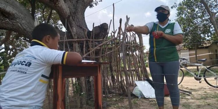 professora crianças com deficiência ceará