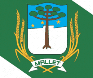 196 - Prefeitura de Mallet - PR