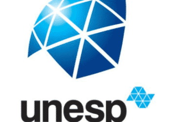 13 - Unesp