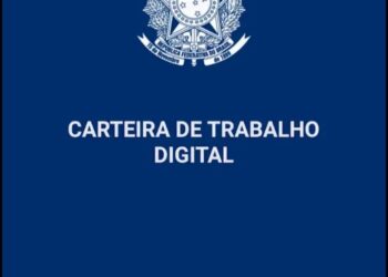 CTPS Digital: Passo a Passo Para o Acesso Via App ou Web