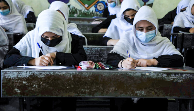 talibã educação de meninas