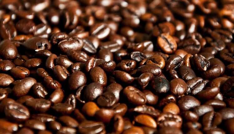 Preço do café tem alta nos últimos 12 meses; Entenda os motivos