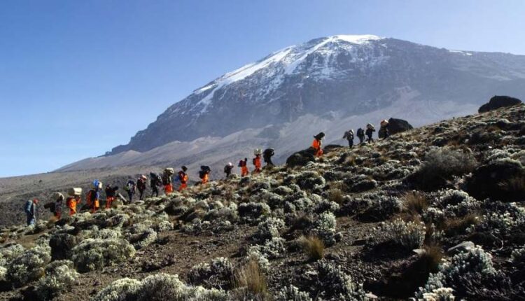 derretimento das geleiras monte kilimanjaro áfrica