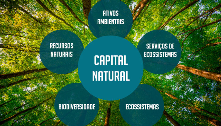 capital natural
