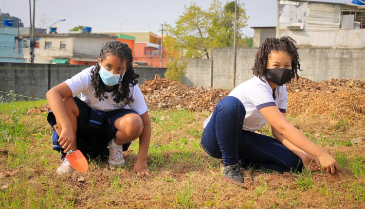 Projeto cria miniflorestas em escolas