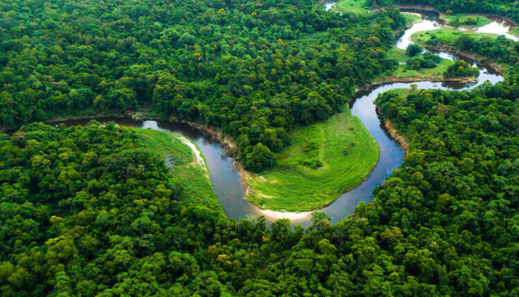 Bioma Amazônia