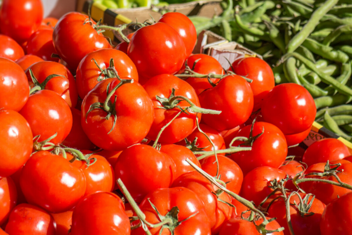 Como escolher tomate -- Reprodução Canva