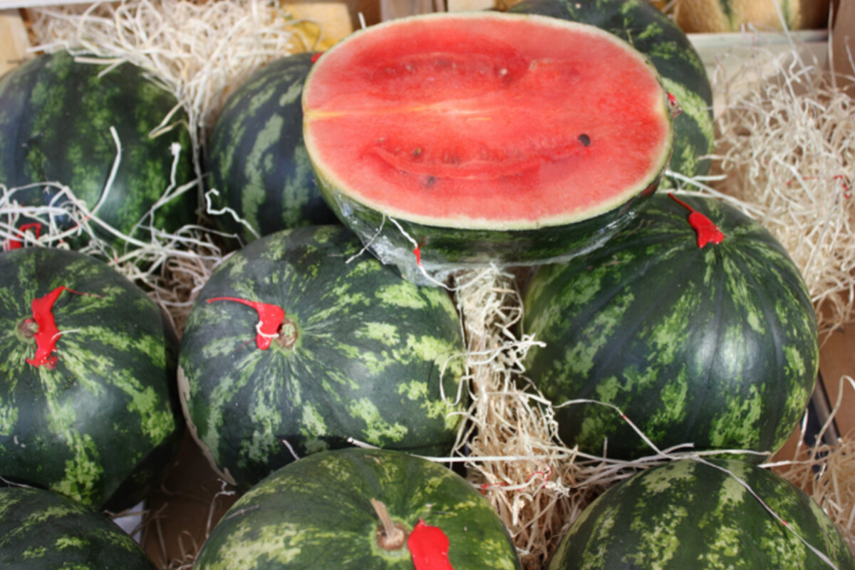 Aprenda como escolher melancia no mercado - Reprodução Canva