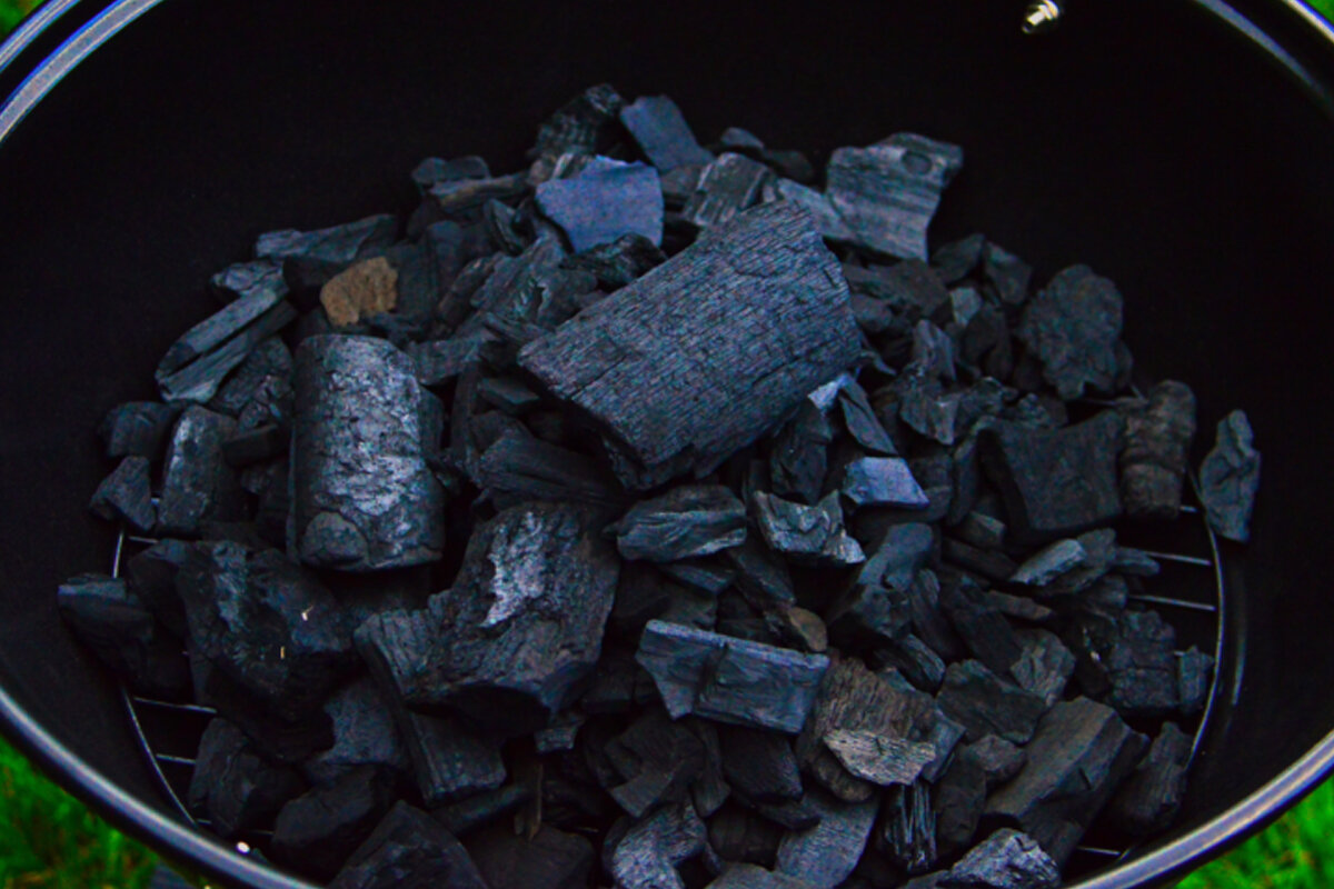 Aprenda a fazer adubo de carvão -- Reprodução Canva