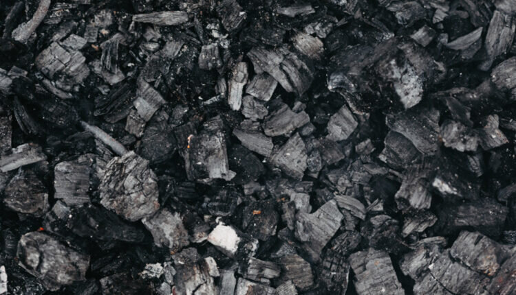 Como fazer adubo de carvão -- Reprodução Canva