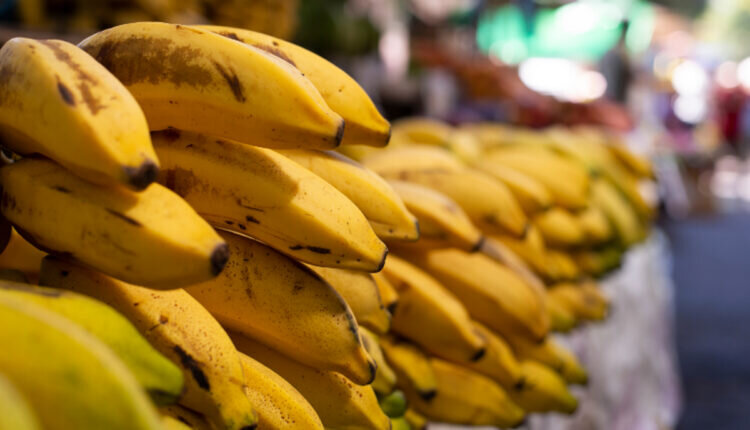Como escolher banana no mercado conheça os tipos -- Reprodução Canva