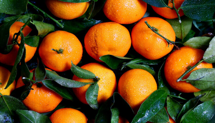 Como escolher laranja doce no mercado - Reprodução Canva