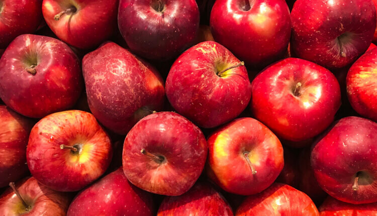 Veja como escolher maçã no mercado conheça os tipos - Reprodução Canva