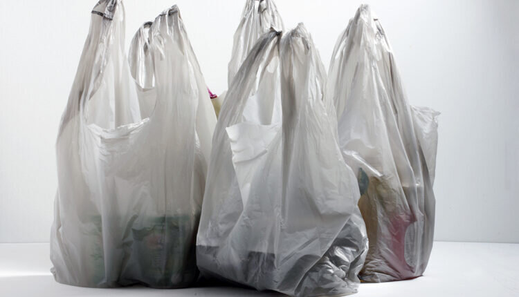 4 usos incríveis para as sacolas de mercado - Reprodução Canva