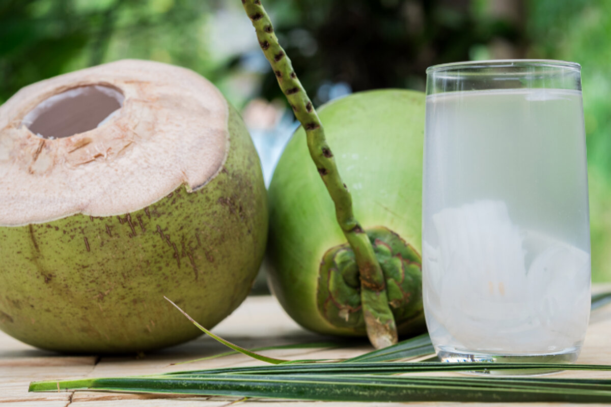 Descubra os benefícios da água de coco -- Reprodução Canva