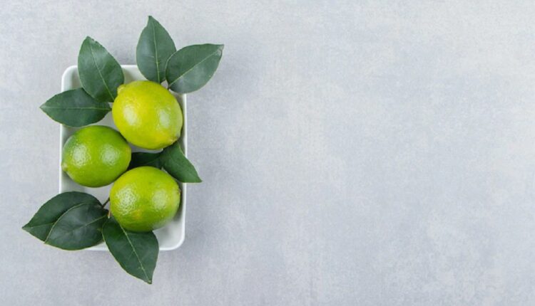 Confira como fazer plantio de limão em casa - Reprodução Freepik