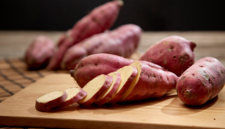 Saiba como escolher batata doce Confira informações interessantes -- Reprodução Canva