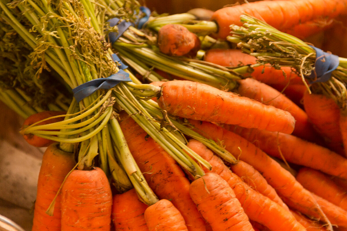 Aprenda como escolher cenoura no mercado - Reprodução Canva
