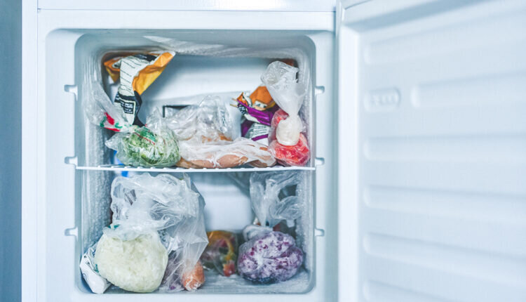 Aprenda métodos simples para congelar e conservar alimentos - Reprodução Canva