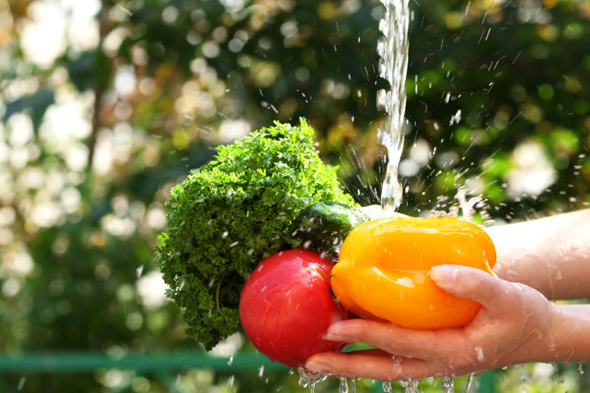 5 formas de higienizar legumes e verduras -- Reprodução Canva