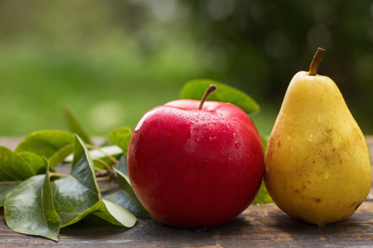Escolher pera e maçã -- Reprodução Canva
