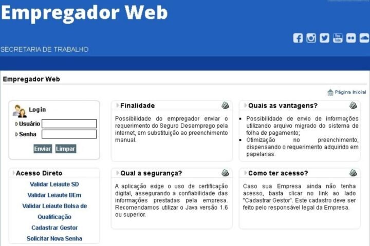 O que é e como funciona o empregador web? Confira os detalhes ...
