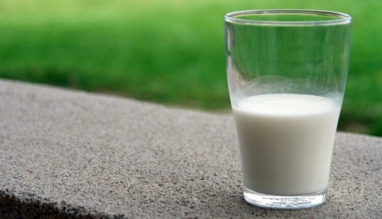 Preço do leite sobe 21,6% no acumulado de 12 meses