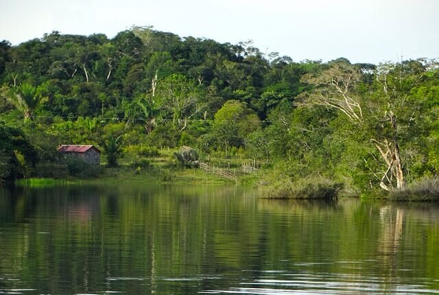 , Ministério do Meio Ambiente ,MMA,projeto “Paisagens Sustentáveis da Amazônia'' , sustentabilidade, meio ambiente,