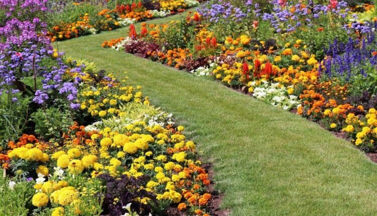 Veja quais as melhores dicas para ter jardim colorido o ano todo