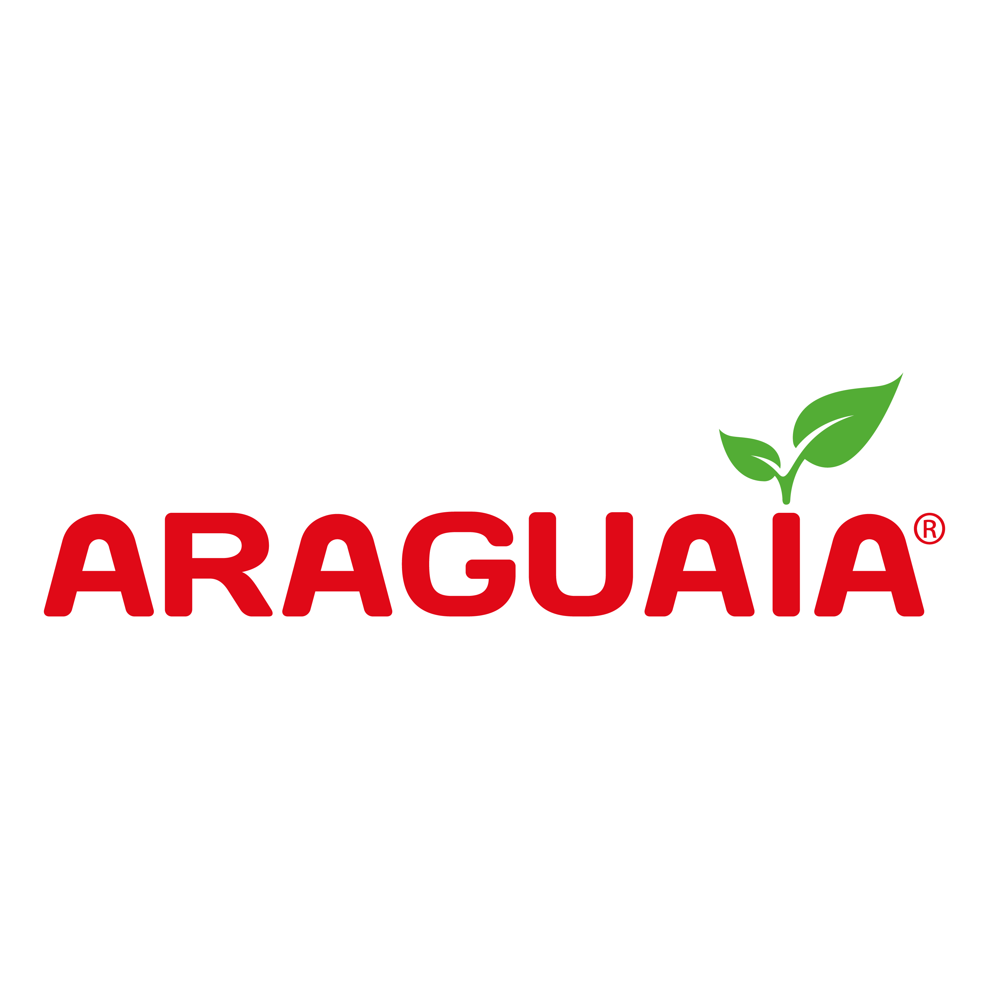 Araguaia