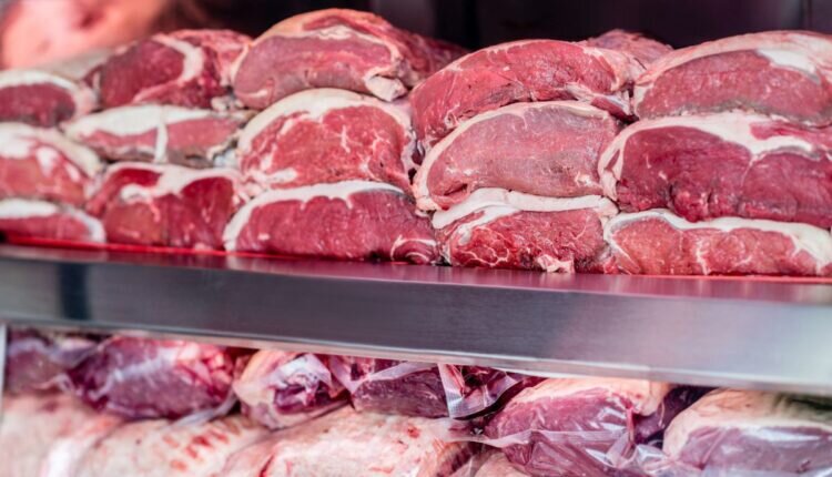 Conheça a franquia boutique de carnes e veja quanto investir - Reprodução Canva
