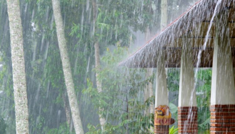Saiba mais a previsão do tempo no Brasil com chuvas e ventos intensos